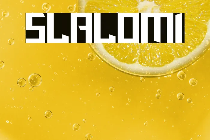 Slalom1 Example 2