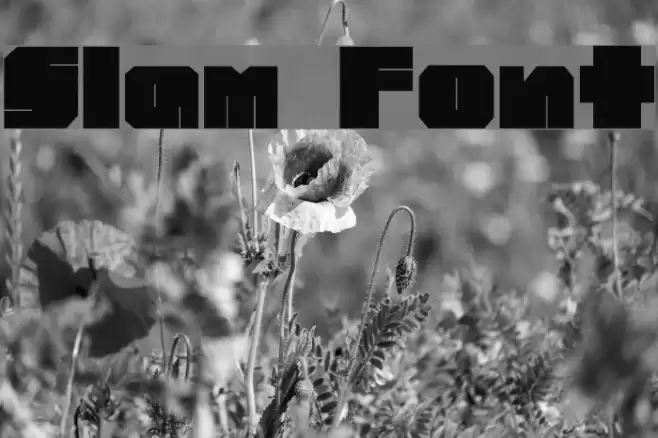 Slam Font examples