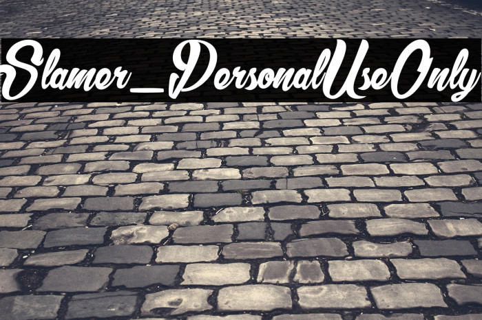 Slamer_PersonalUseOnly Example 1