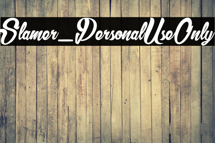 Slamer_PersonalUseOnly Example 2