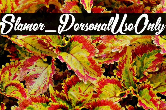 Slamer_PersonalUseOnly Example 3