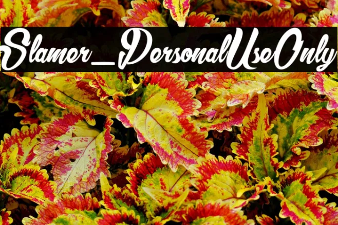 Slamer_PersonalUseOnly Example 3