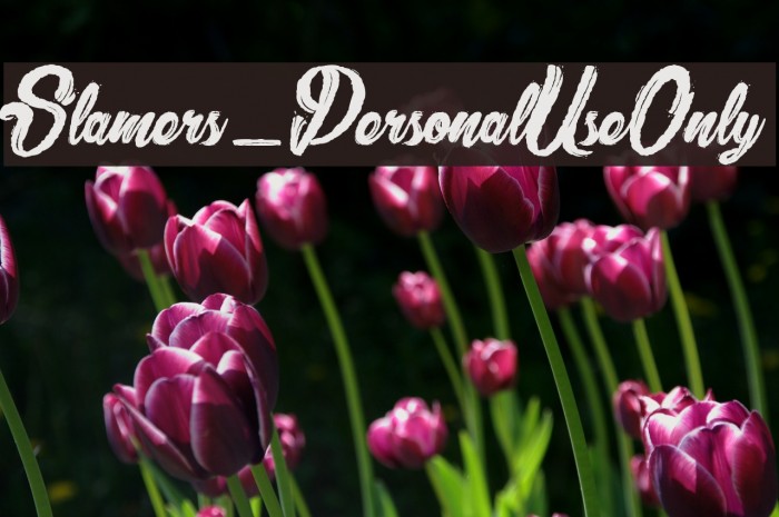 Slamers_PersonalUseOnly Font examples
