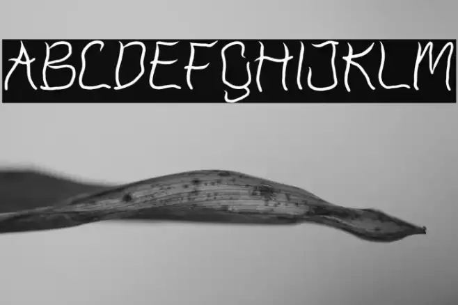 Slamming Font examples