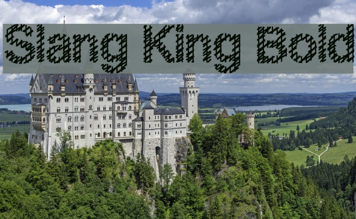 Slang King Bold Example 3