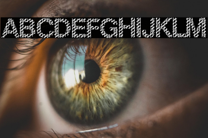 Slang King Example 1