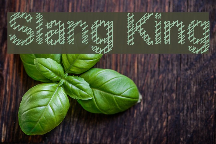 Slang King Example 2