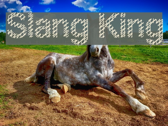 Slang King Example 3