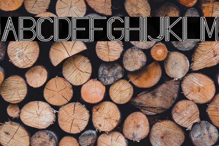 Slang Outfit Inline Example 3