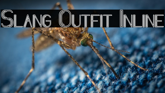 Slang Outfit Inline Example 3