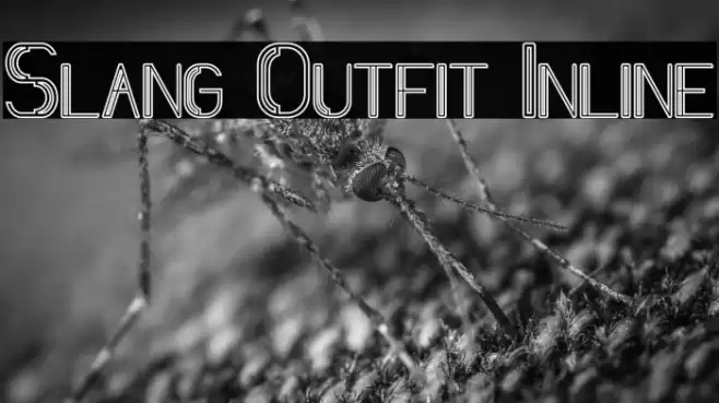 Slang Outfit Inline Font examples