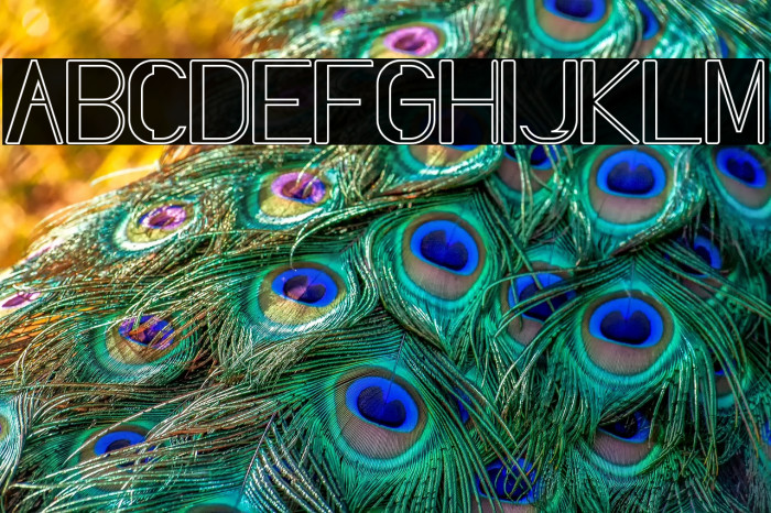 Slang Outfit Outline Example 3