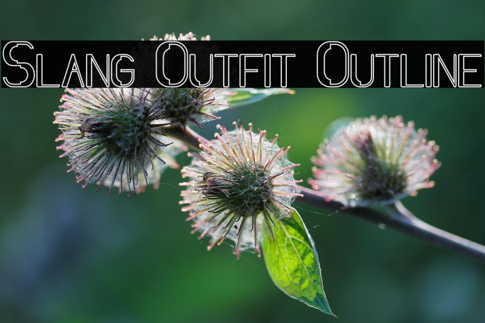 Slang Outfit Outline Example 1