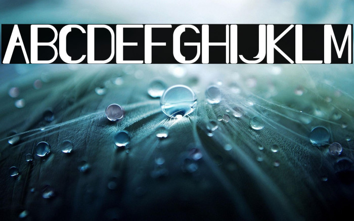 Slang Outfit Example 3