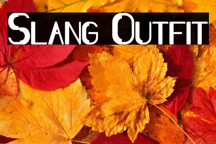 Slang Outfit Example 2