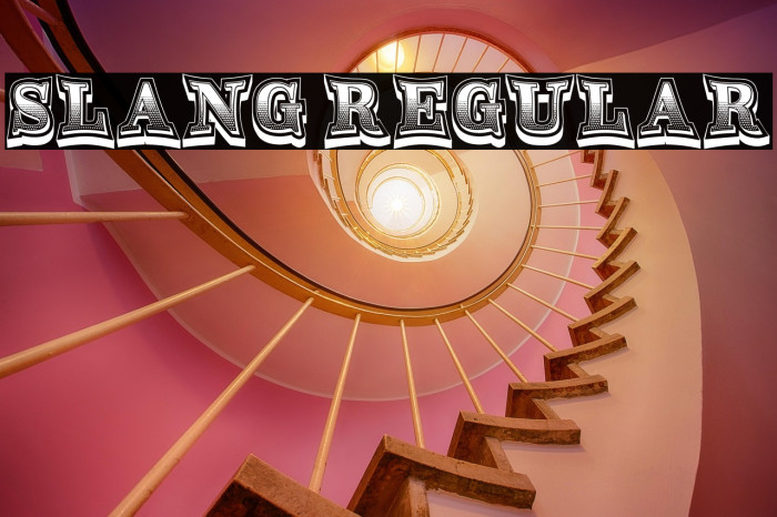 Slang Regular Example 1