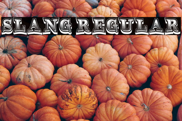 Slang Regular Example 2