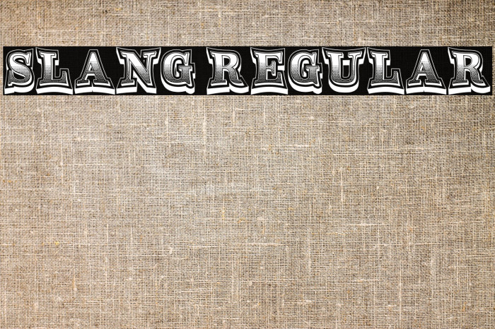 Slang Regular Example 3