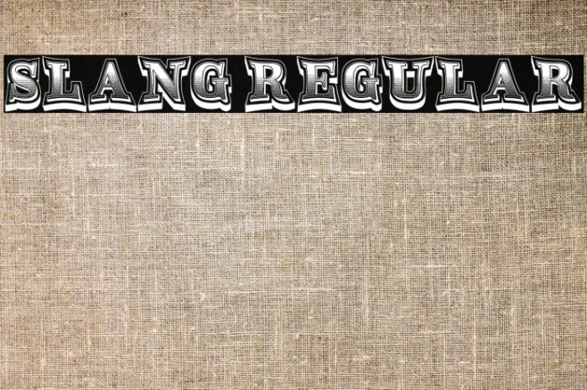 Slang Regular Example 3