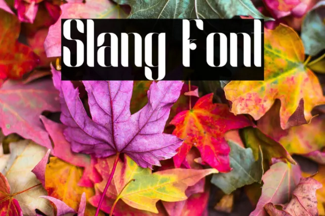 Slang Example 1