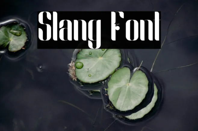 Slang Example 2