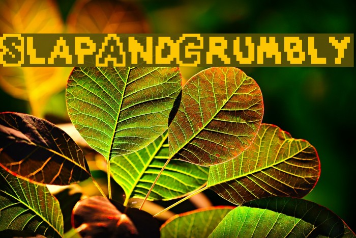 SlapAndCrumbly Example 2