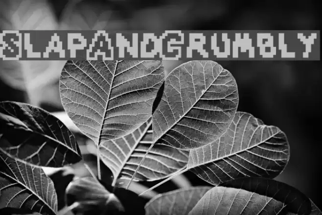 SlapAndCrumbly Font examples