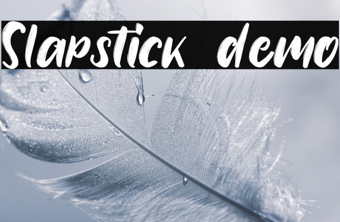 Slapstick demo Example 2