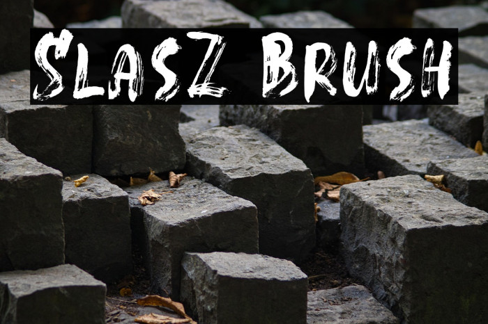 SlasZ Brush Example 1