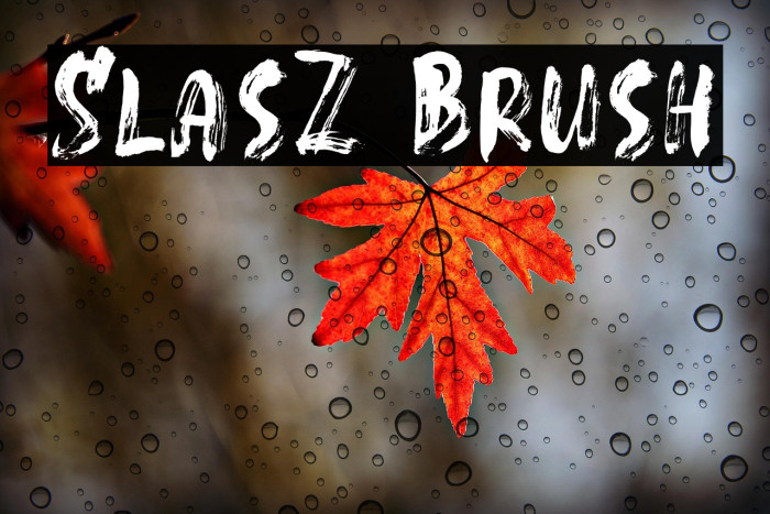 SlasZ Brush Example 2