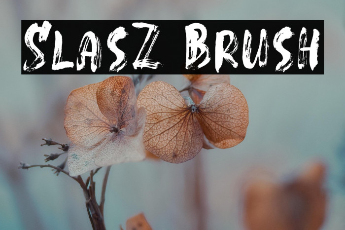 SlasZ Brush Example 3