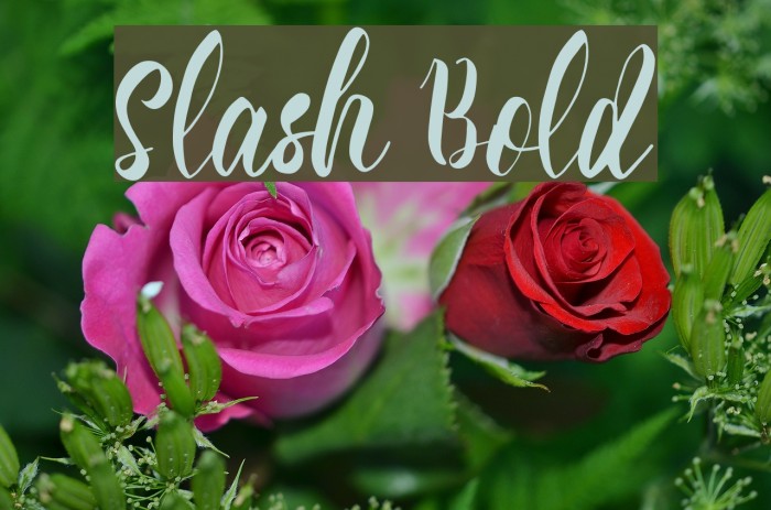 Slash Bold Font examples