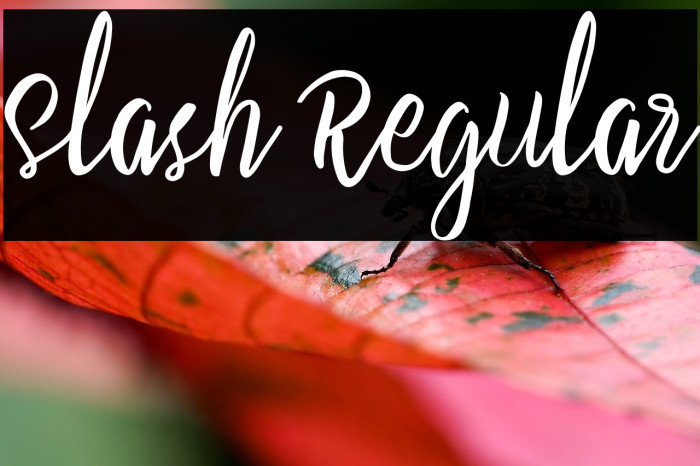 Slash Regular Example 1