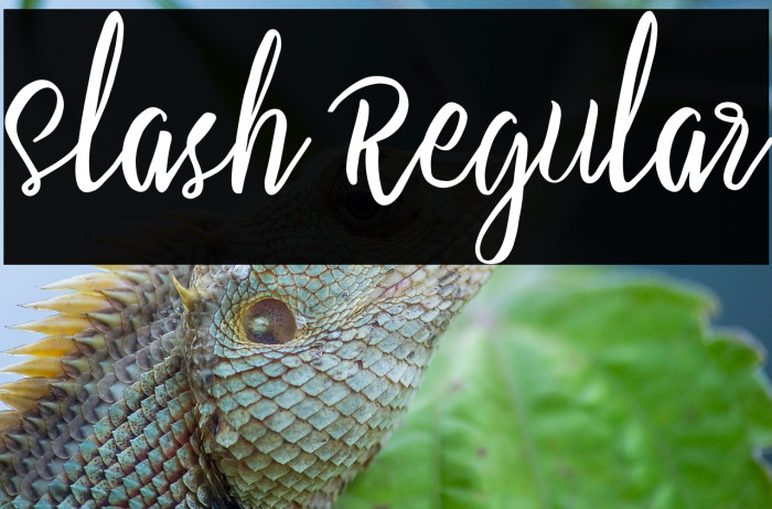 Slash Regular Example 2