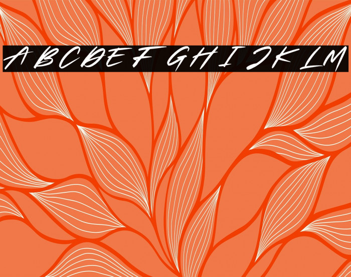 Slash Signature Personal Use Example 2