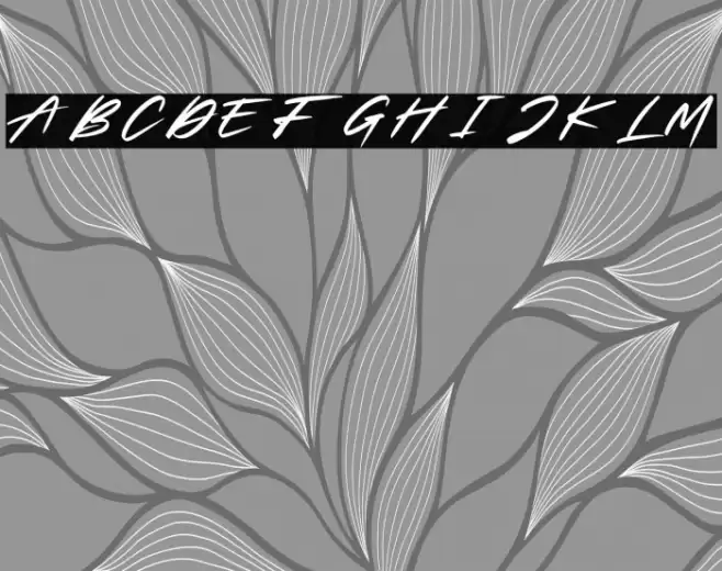 Slash Signature Personal Use Font examples