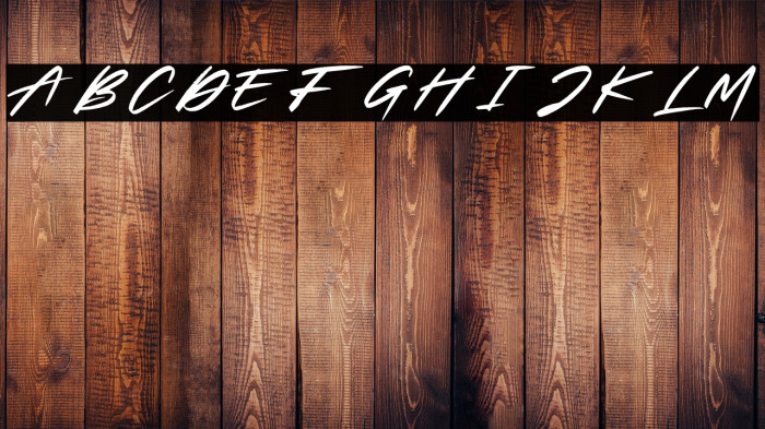 Slash Signature Personal Use Example 3