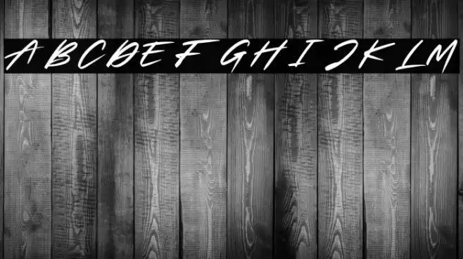 Slash Signature Personal Use Font examples