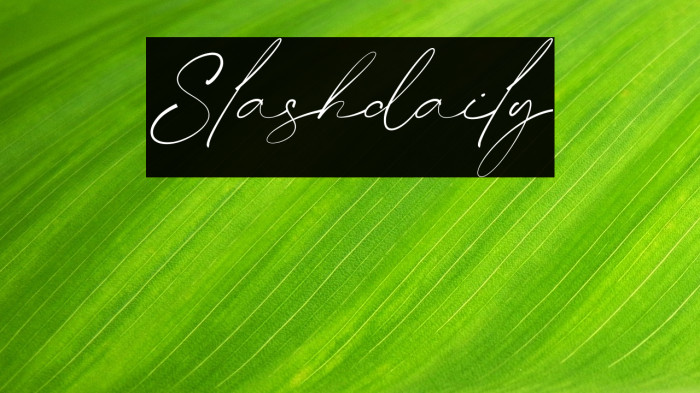 Slashdaily Example 1