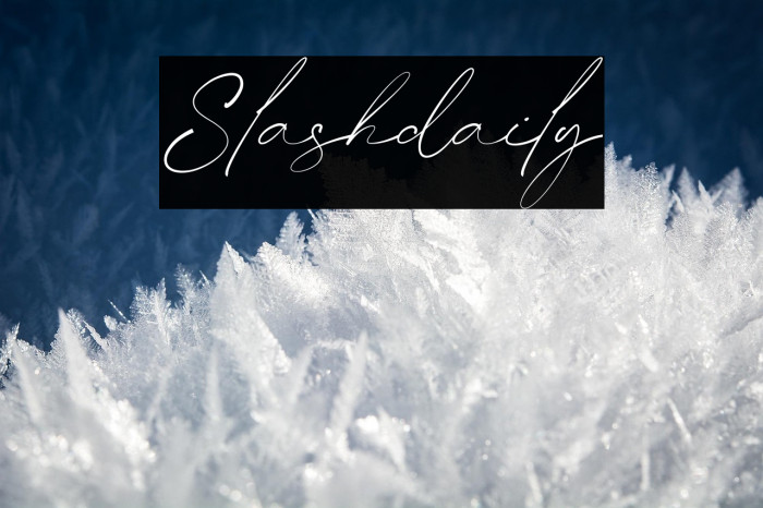 Slashdaily Example 3