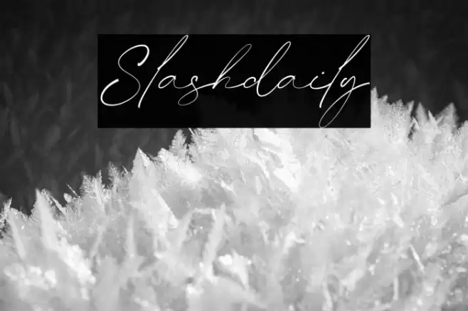 Slashdaily خط examples