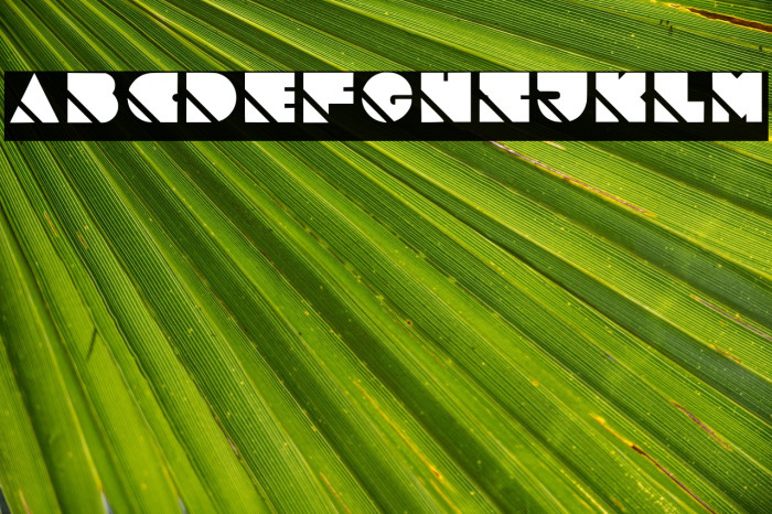 Slashed Regular Example 1