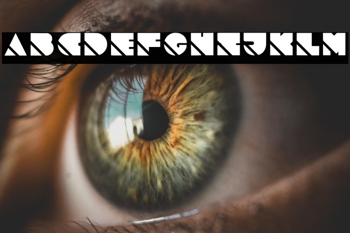 Slashed Regular Example 2