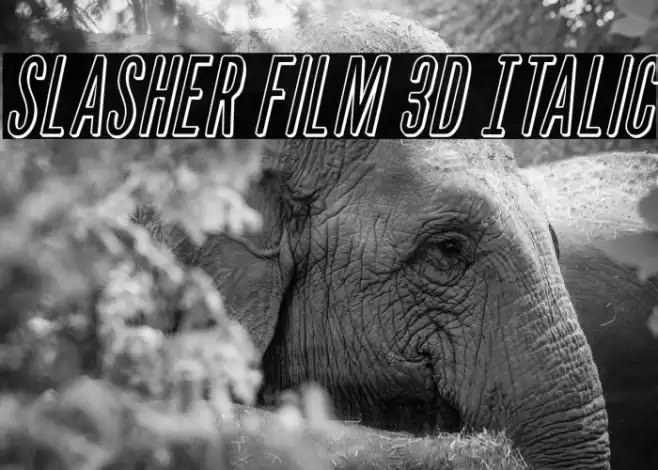 Slasher Film 3D Italic Font examples
