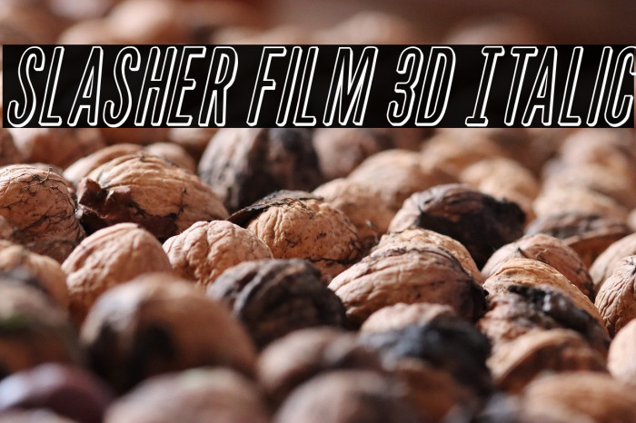 Slasher Film 3D Italic Example 3