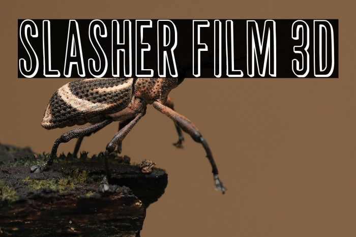 Slasher Film 3D Example 2