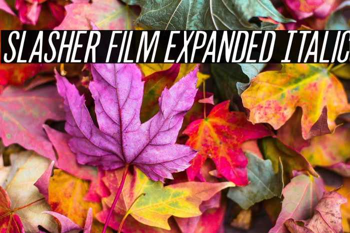 Slasher Film Expanded Italic Example 3