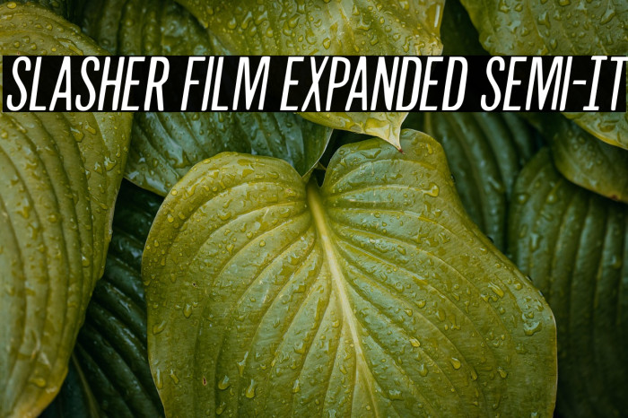 Slasher Film Expanded Semi-It Example 2