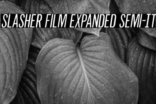 Slasher Film Expanded Semi-It Font examples