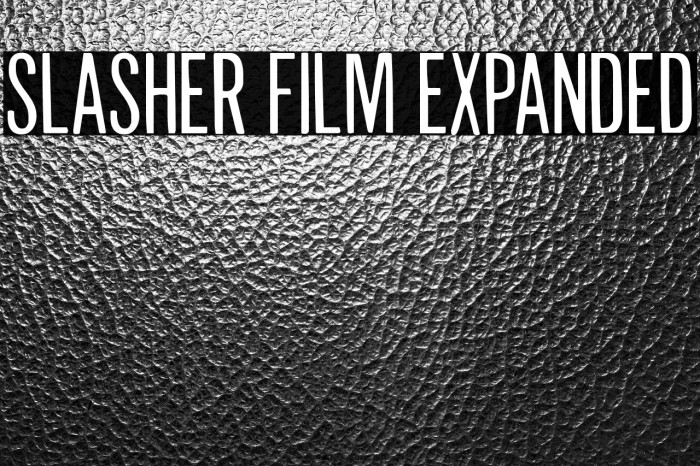Slasher Film Expanded Example 1